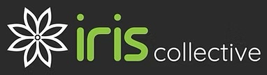 NDIS Registered Positive Behaviour Support Providers | IRIS Collective